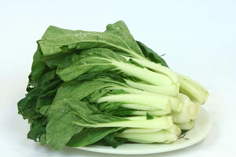 陕西新纪元烹饪学校