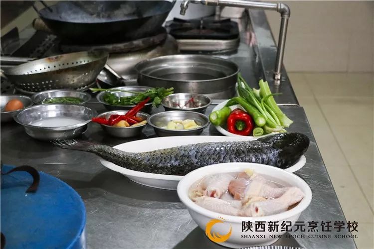 【活动预告】新纪元试学通道已开启,别让人生输在高考