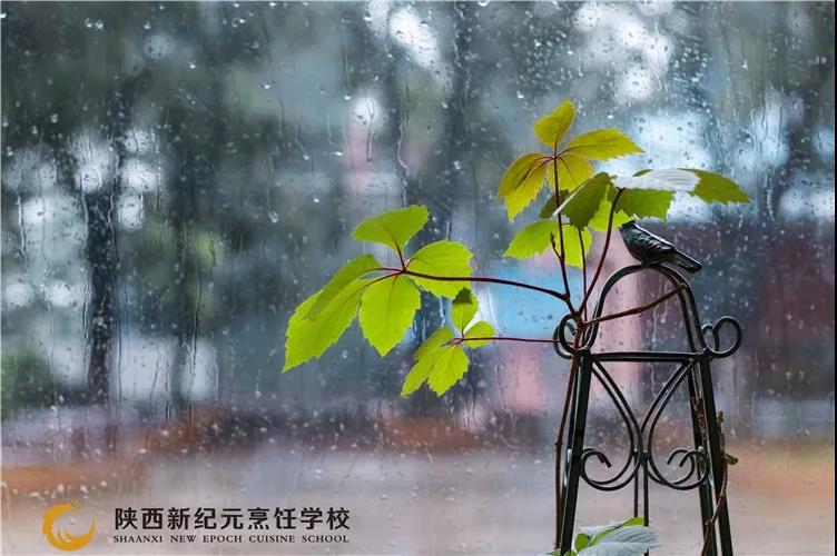 深度,好文,择一,所好,学校,秘诀,哪些,冬日,尾巴,还在,